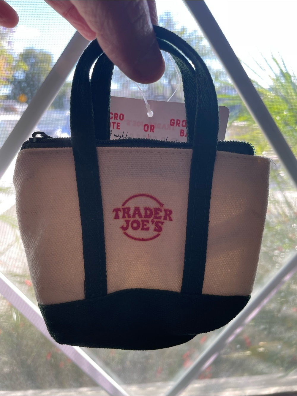 Trader Joe's Micro Canvas Tote Bag in Cream and Forrest Green